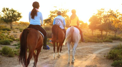 The Wild Woman on a Horse - Horseback Safaris at Abelana