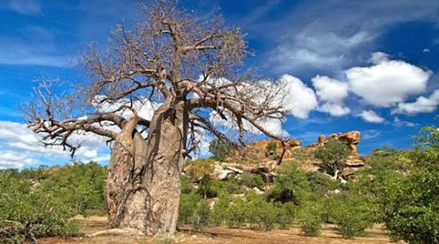 Interesting artifacts within South Africa's national parks