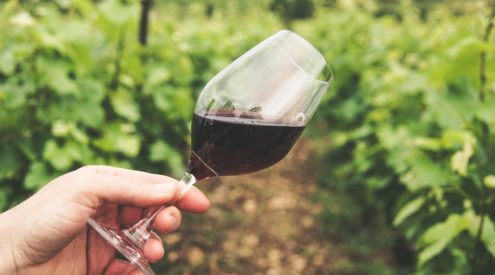 Celebrate International Pinotage Day this weekend