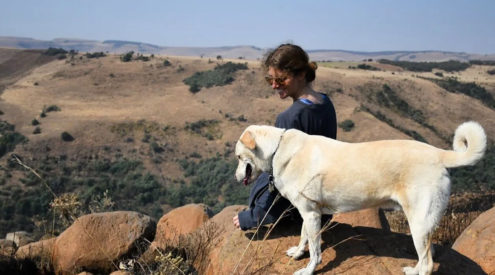 Pet-friendly destinations in the Drakensberg and Midlands